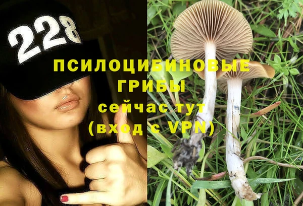 гидропоника Алзамай